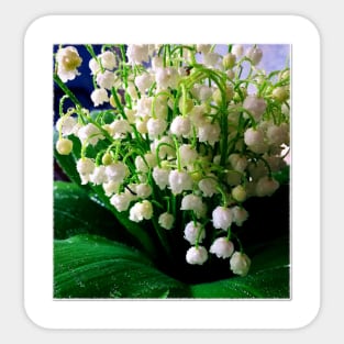 bouquet lily of the valley Sticker